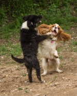 Lotta (10 von 29).jpg